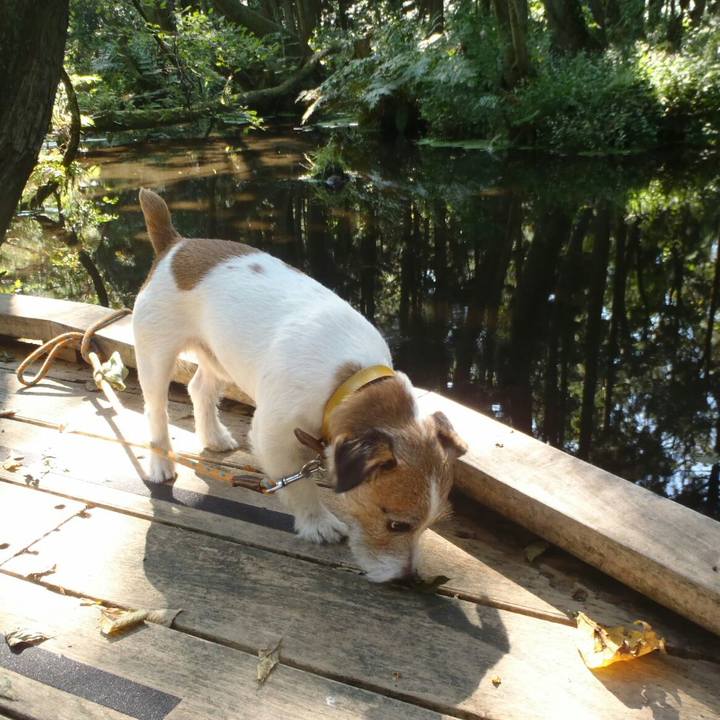 Db9dcd44 560b 43bb 8d69 fe3b1485912e