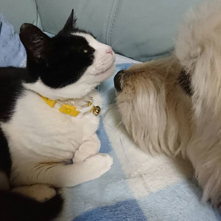 Db9e812d db50 4745 9348 d2db035a0e60