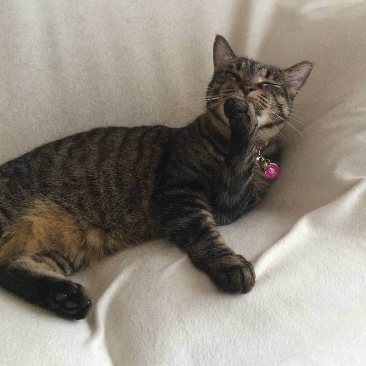 Db9f4937 1365 4754 85b8 70275bd2872c