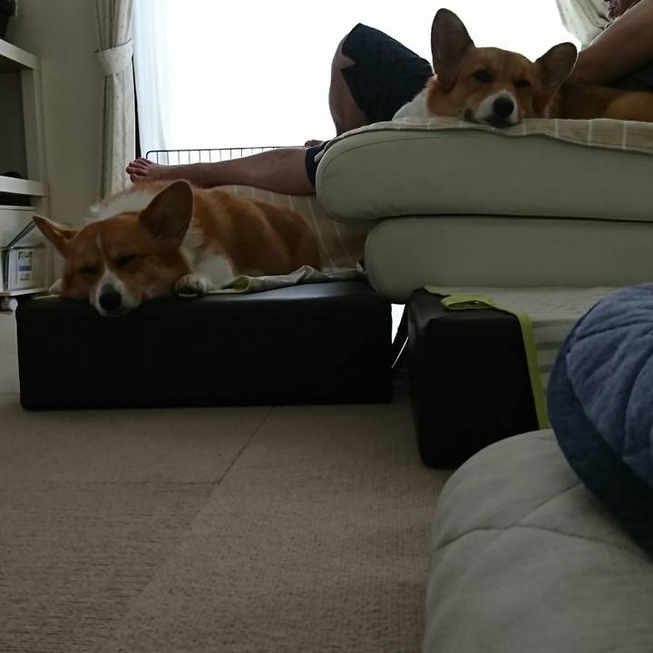 Db9f7d87 8dce 437b 94c6 385659e8246d