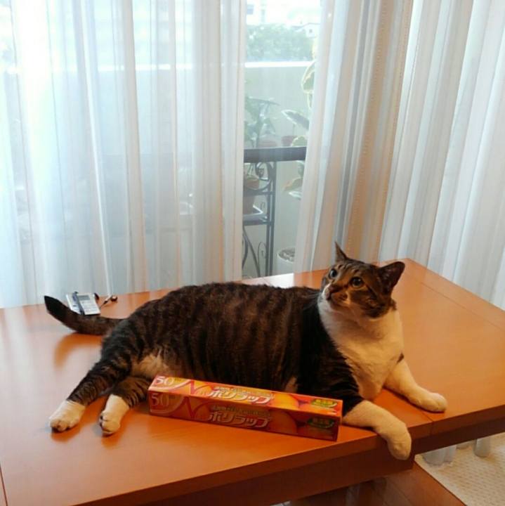 Db9faad6 5194 4217 9b74 65e1d05040f8