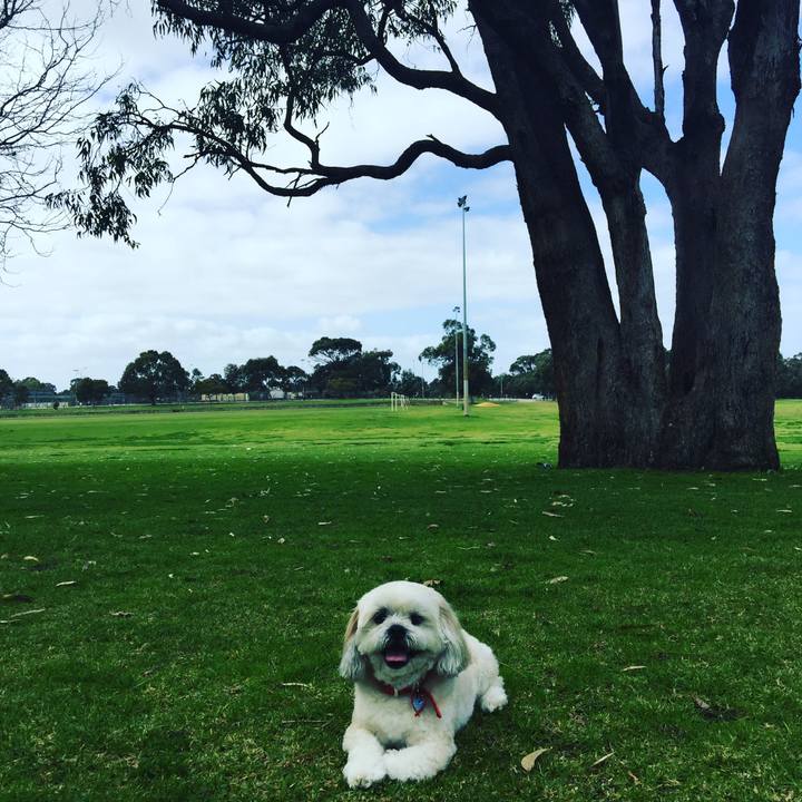 Dba016fb 599e 4906 a1f8 119ff6733065