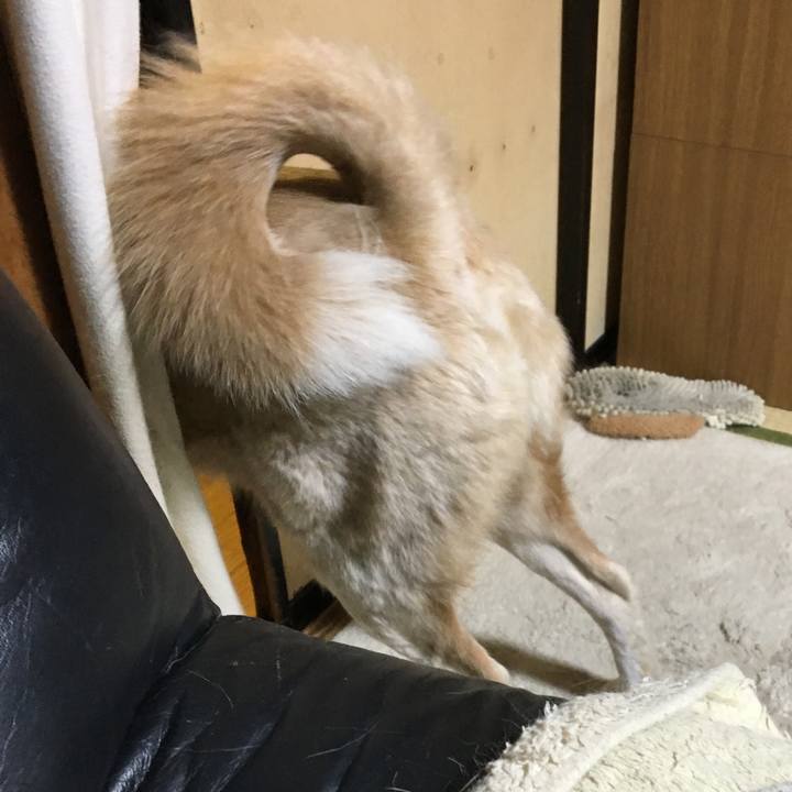 Dba03a2f a442 4342 9394 915907c0e48c