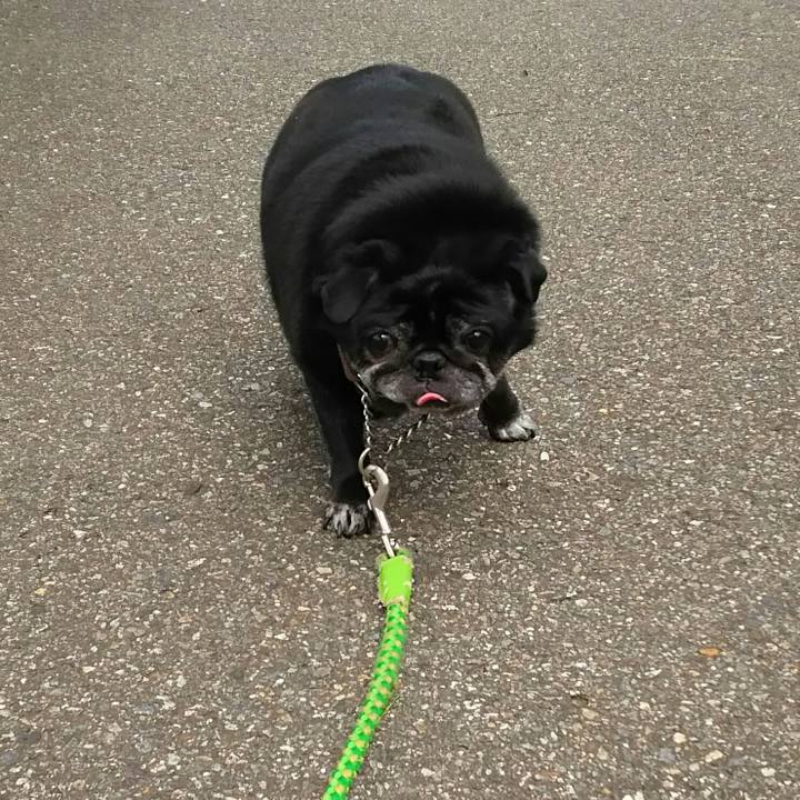 Dba074e4 ad66 4a9d 85d5 c34ec564fcf0