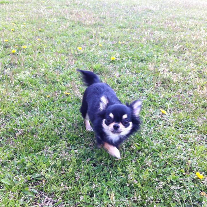 Dba07e32 d5cf 4e01 a5e6 05ae538a420a