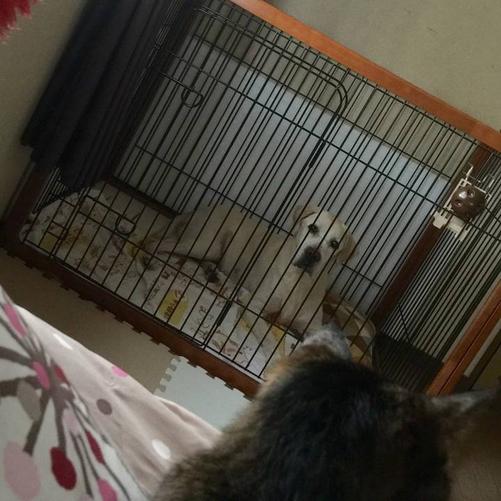 Dba0a173 8c2a 40af ae2a 9d290c350fbb