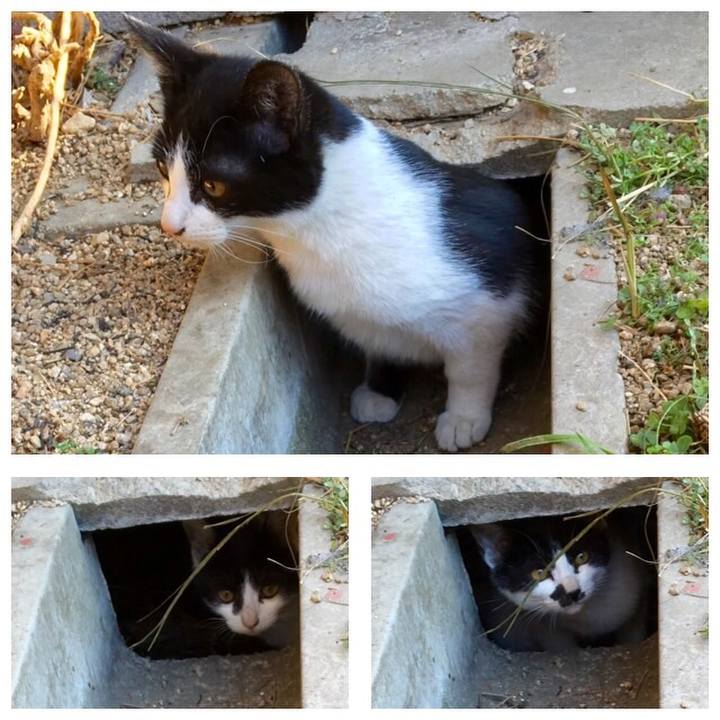 Dba0dc4d a400 4c13 a2e5 b5183c00a1df