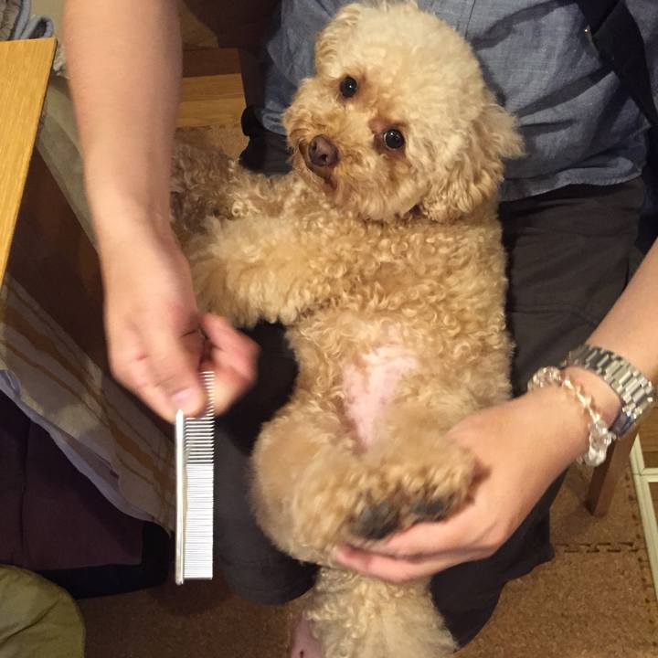 Dba118c6 2ef0 4a68 b1ae 991512a96037