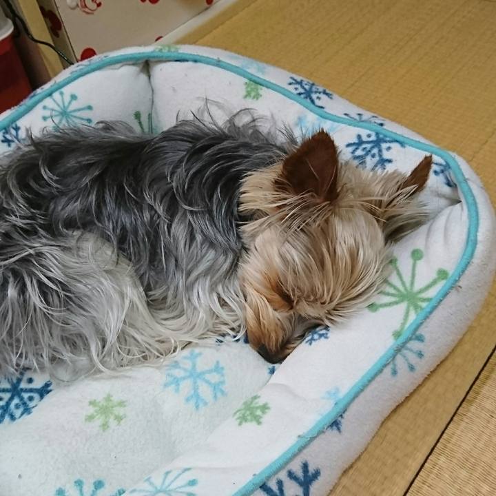 Dba12fd5 e831 45ab 8613 92d80ecb1898