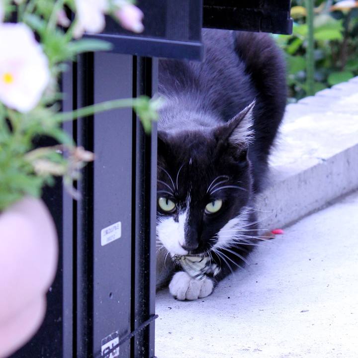 Dba1f8d1 da53 4601 b974 f2b509fda6b1