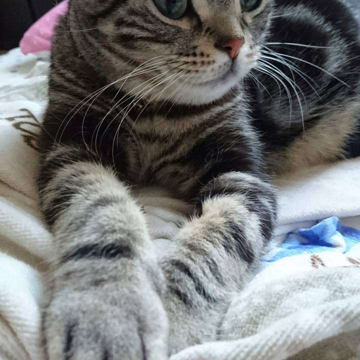 Dba22f95 17f3 4cda b626 a232b24989fc