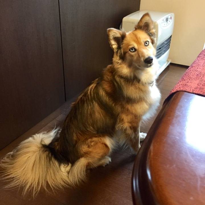 Dba2c0e4 5ea8 409b 8c77 932fac8a532c