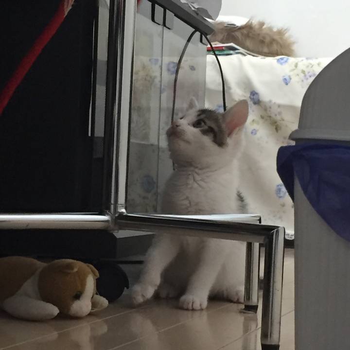 Dba2c851 b048 449a 9e47 bdd9f09f9cf7