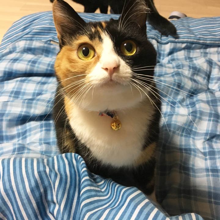 Dba2eacf 07ff 4a32 b860 e0d3438fa27f