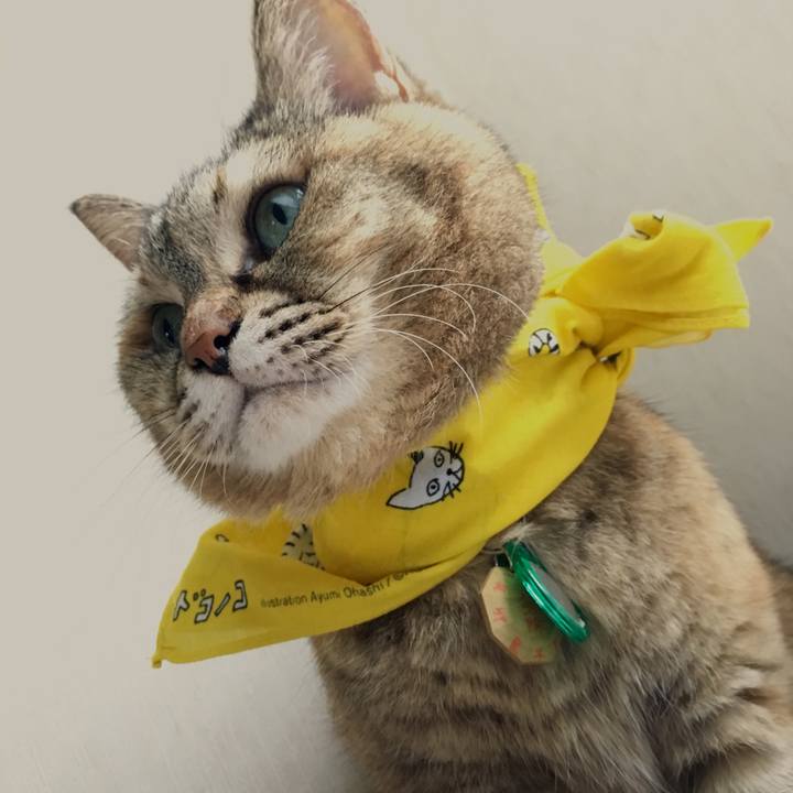 Dba31214 a537 4743 831a 8e64e9b3c572