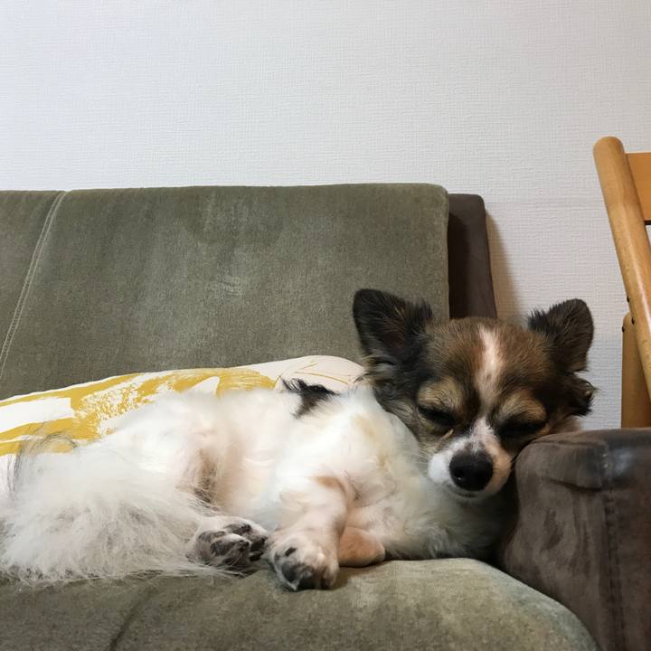 Dba3b15d 49e0 467e afdb 722326422340