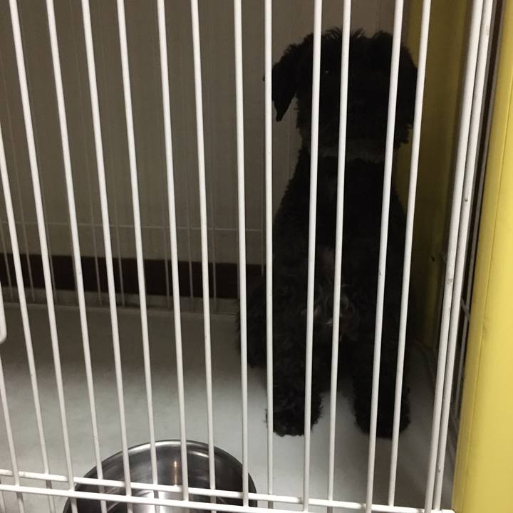 Dba4042a bfd5 432f ac48 3ca066196f00