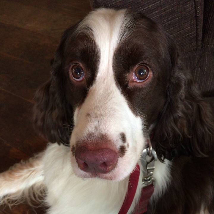 Dba48698 fd0b 4639 b984 20d456f0b432