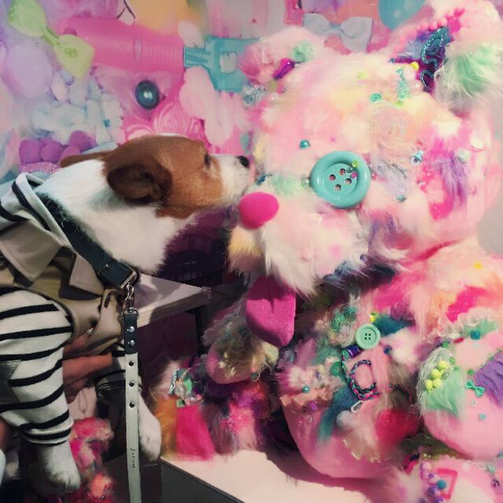 Dba5f4ca 24a5 46a6 83b6 1657d405fc37