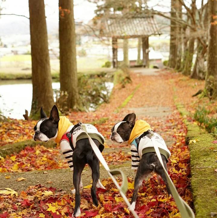 Dba64456 8447 4bfc 9efc 2c97f1c81b98