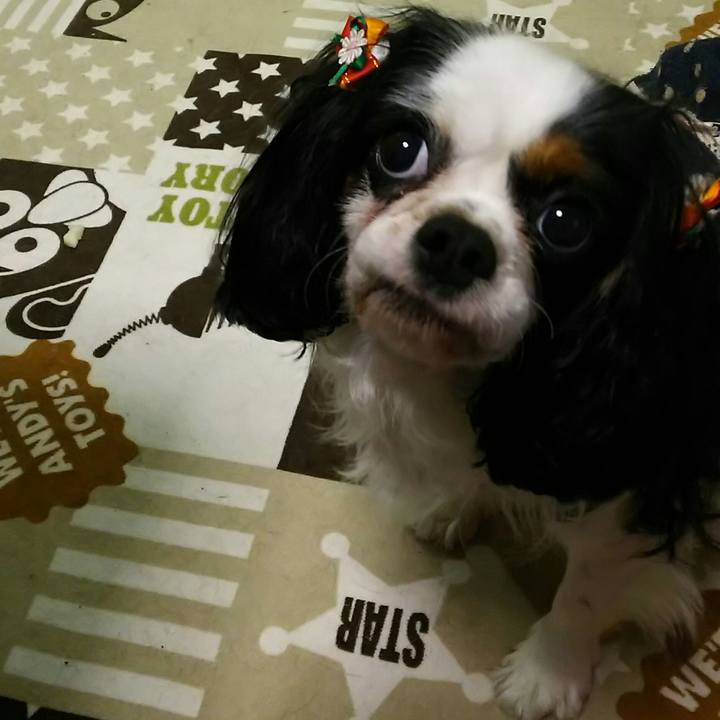 Dba68691 3ea6 4eb5 b259 41bcc54de7ee