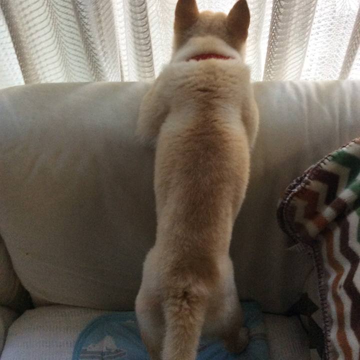 Dba6fc2f a5be 4f96 8248 098588964b3f