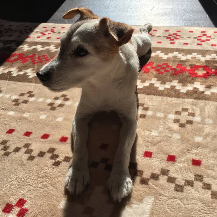 Dba711da 0c37 4798 9c67 4fc44628ab5b