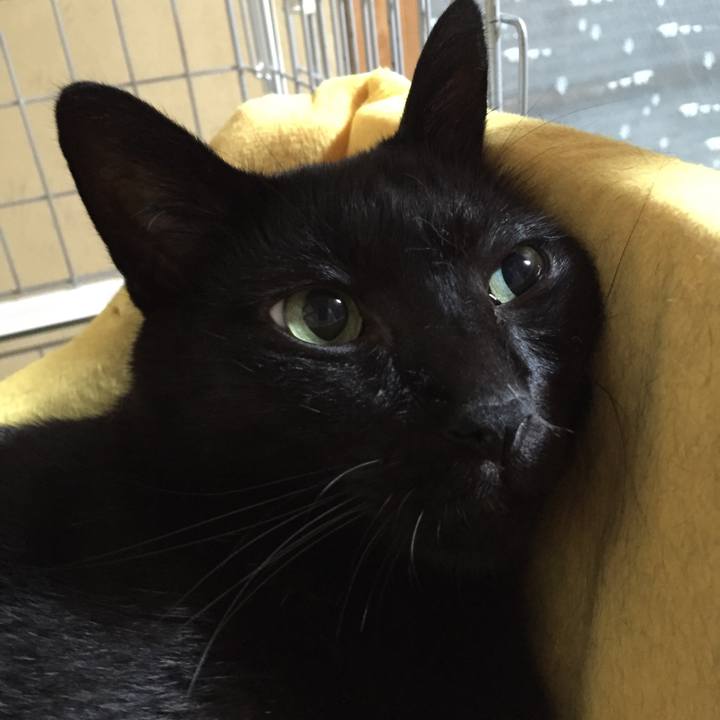 Dba74f25 c7be 4d75 a441 004f698a5094