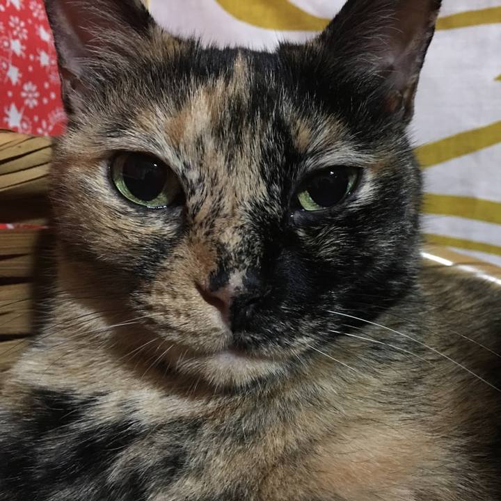 Dba7c820 a6f4 4870 b8c0 9ceb7f00b3a7