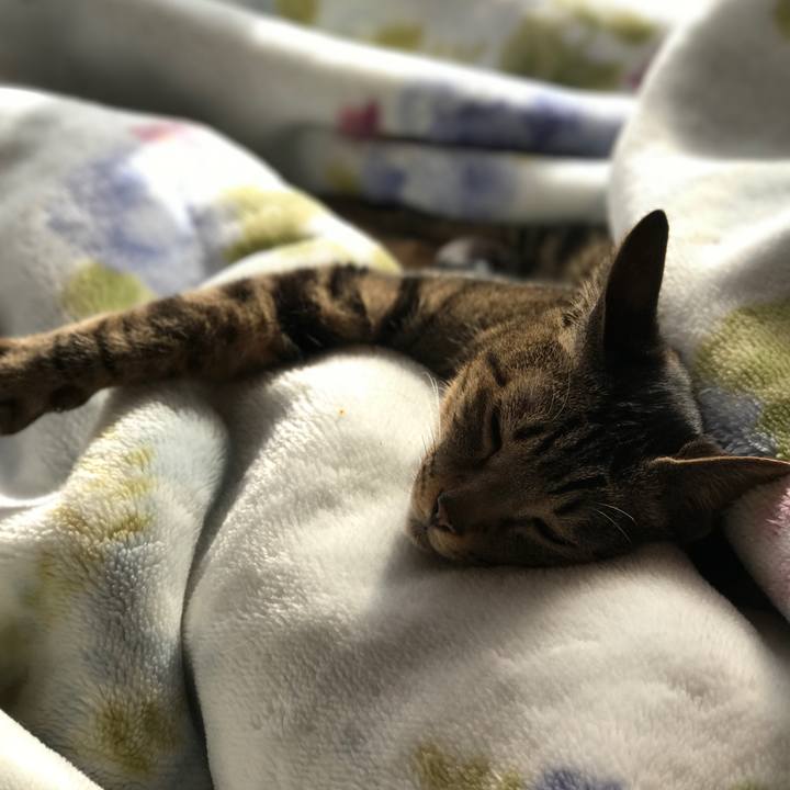 Dba84bf5 9827 4bb2 9ec7 d230e0115ba2