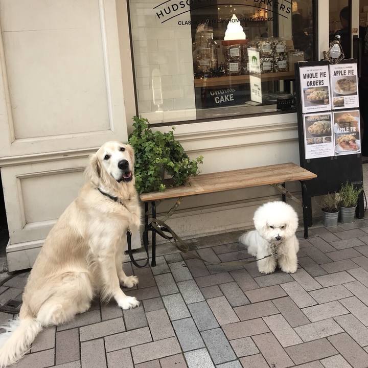 Dba86e99 6867 46fa a1d3 20b751846b30