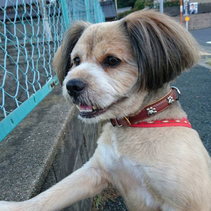 Dba99807 94d3 4d24 b653 029639f7fc14