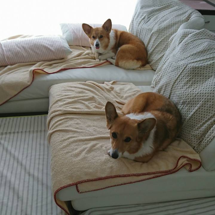 Dba9b616 9fd3 43ce aac8 a463cde0ea17