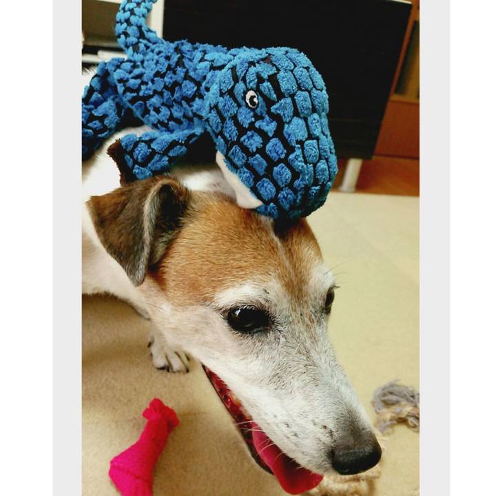 Dba9e523 4977 4172 bdbd e9591e74426d