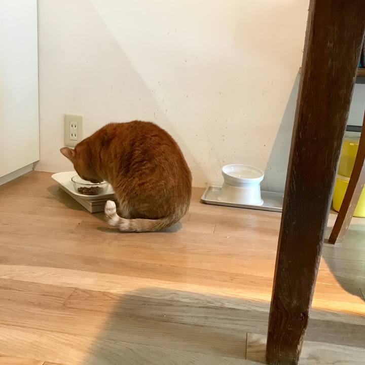 Dbaa227c e1f1 499f 9915 f6ef832d2e0e