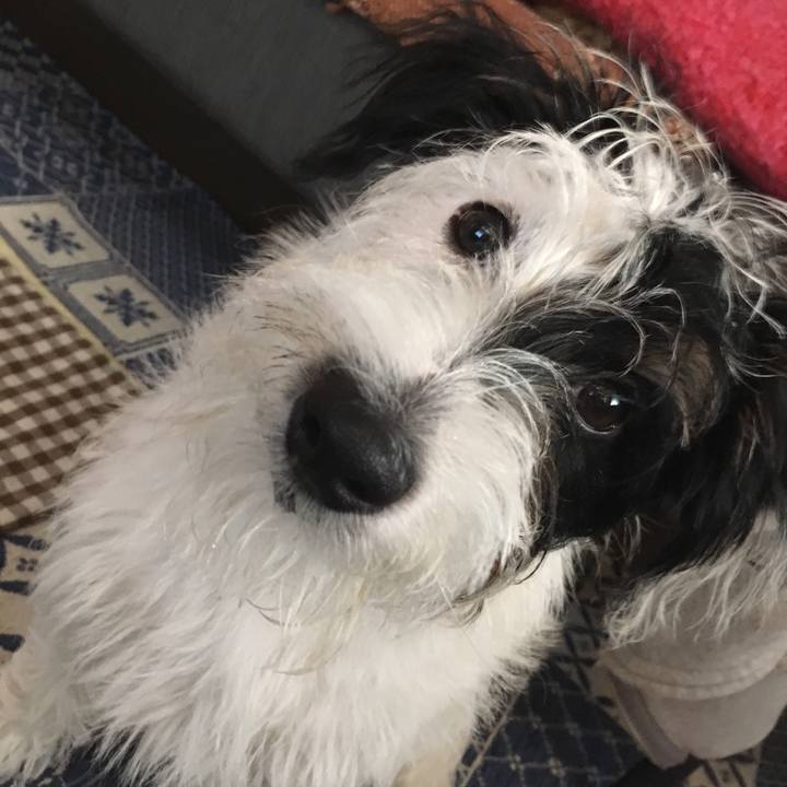 Dbaa78b0 3ed2 485a 9b8a 58bb63c5e115