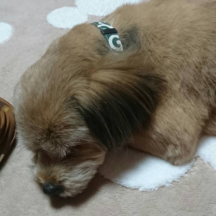 Dbaaee93 1187 4236 bbb8 53cc5422ee94