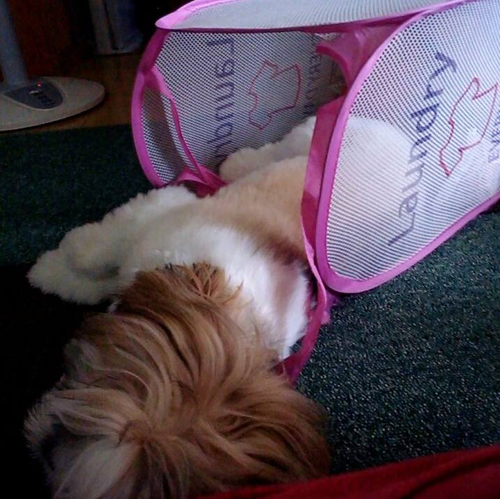 Dbab25e7 f816 4682 9774 d06d3735ab66