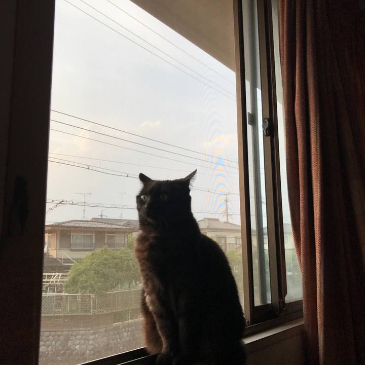 Dbab2ddd 3456 41b2 a1cd 61a7ae5882aa