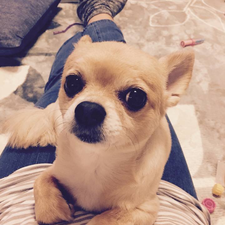 Dbab4716 d2a8 4e69 b7e1 94583a1d509c