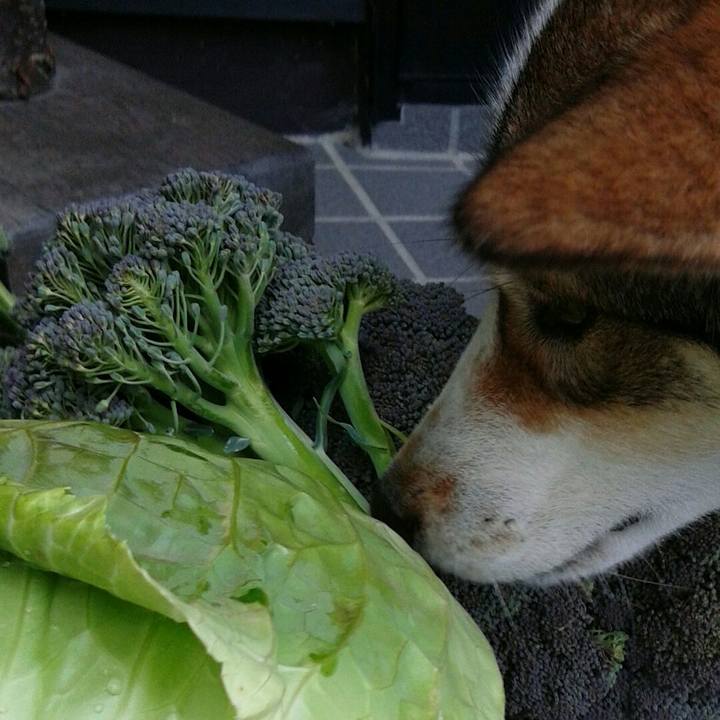 Dbabf4cd 1e4b 4684 96e9 979f611de5fc