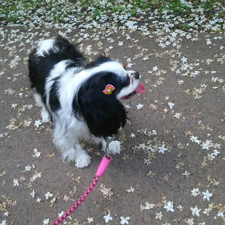 Dbac2800 82c7 46f6 a98e 42d2149b864d