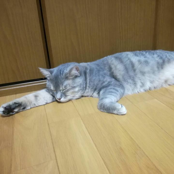 Dbac93f8 7d1b 48ea b24e f47cac233ac8