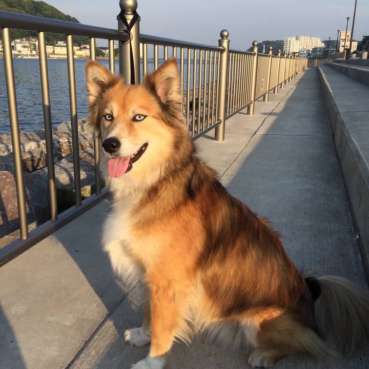 Dbacb954 6244 4830 b592 7f4eefe95cb7