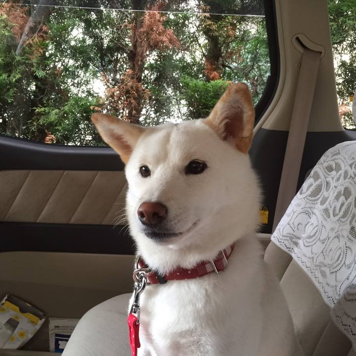 Dbacc793 d814 4e74 93ea 3b9683861072