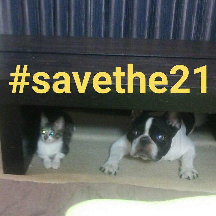 Dbace896 463e 478a 8b47 d7bf63b8a21b