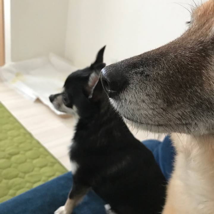 Dbadbace 6406 4032 84d3 4ac74be316b1