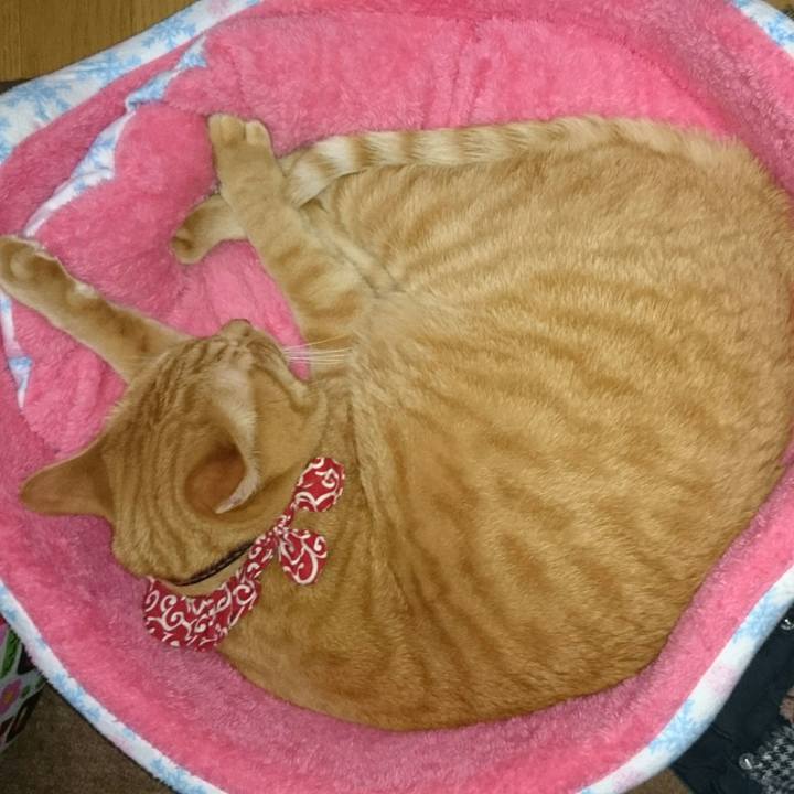 Dbadc0fc 78f6 4203 89af 25c1c35509ea