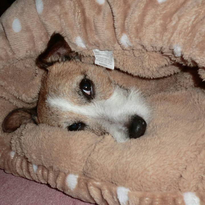 Dbae4b87 bc35 460e a0cc 555792ab93e1