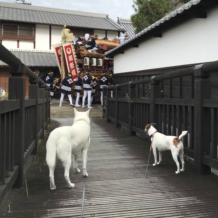 Dbaf57ae a87d 4923 90c7 a9f1648e68f3